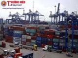 Phó Thủ tướng chỉ đạo xử lý trách nhiệm vụ 213 container 'mất tích'