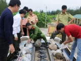 Ninh Bình: Bắt giữ xe khách chở số lượng lớn động vật hoang dã