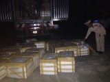 Thanh Hóa: Bắt xe tải chở một tấn tai lợn thối đi tiêu thụ