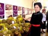 Lào Cai: Công bố nhãn hiệu tập thể cho thịt trâu sấy và khoai môn Bảo Yên