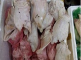 Bình Thuận: Tiêu hủy 300 kg thịt nhiễm khuẩn