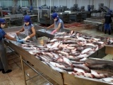 Xuất khẩu cá tra sang thị trường Trung Quốc tăng trưởng mạnh