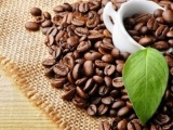 Chi 170 tỷ đồng cho đề án “Cà phê Việt Nam chất lượng cao”
