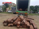 Nghệ An: Bắt xe chở 20m3 gỗ lậu trị giá khoảng 700 triệu đồng