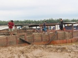 Quảng Nam: Bắt quả tang 6 tàu hút trộm cát ở sông Thu Bồn