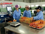 Lâm Đồng: Quyết tâm nâng tầm giá trị nông sản sau thu hoạch