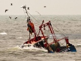 Lật tàu cá Hàn Quốc: 13 người thiệt mạng, 2 người mất tích