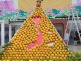Lễ hội cam Hà Tĩnh: Xây dựng giá trị thương hiệu cam và các sản phẩm nông nghiệp địa phương