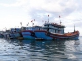 Thu xếp thủ tục đưa 3 thuyền viên Việt Nam được tìm thấy ở New Zealand về nước