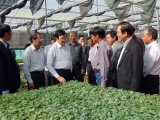 Lâm Đồng: Vườn ươm Thiên Sinh đa dạng hóa sản phẩm theo mô hình mẫu