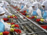 Doanh nghiệp Việt vào Top nhà sản xuất thuỷ sản lớn nhất thế giới
