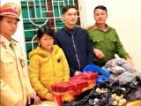 Nghệ An: Nữ 9X mang hơn 15kg pháo nổ đi tiêu thụ bị bắt giữ