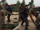 Cận cảnh người dân vây bắt rắn hổ chúa “khủng” nặng 15kg ở Vĩnh Phúc