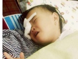 Bị gà chọi mổ, một bé gái 2 tuổi ở Nghệ An bị hỏng mắt