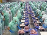 Doanh nghiệp thực phẩm Nhật Bản đang quan tâm đến thị trường Việt Nam