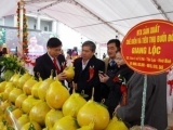 Tuần lễ giới thiệu nông sản an toàn 5 tỉnh, thành phố tại Hà Nội