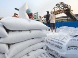 Xuất khẩu gạo không còn là 'át chủ bài' của nông nghiệp Việt Nam