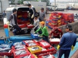 Bình Định: Đầu năm trúng đậm cá ngừ, ngư dân thu về tiền tỷ