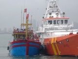 Đà Nẵng: Cứu 6 thuyền viên trên tàu hỏng máy sắp chìm về đất liền an toàn