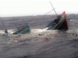 Thanh Hóa: Chìm 3 tàu cá, 8 người mất tích