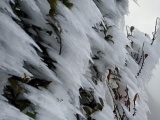 Băng giá phủ trắng đỉnh Fansipan, núi Lảo Thẩn, nhiệt độ giảm sâu