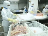 Việt Nam khiếu nại lên WTO về việc Mỹ áp thuế cá phi lê