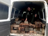 Hà Tĩnh: Kiểm lâm truy đuổi hơn 20 km bắt xe chở gỗ lậu