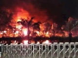 Đồng Nai: Lửa bùng cháy giữa đêm thiêu rụi xưởng gỗ