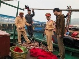 Quảng Ninh: Bắt giữ 4 tàu dùng xung điện khai thác thủy, hải sản trái phép