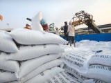 Doanh nghiệp Việt đang tồn hơn 760.000 tấn gạo trong kho
