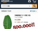 Sửng sốt lá chuối Việt được rao bán nửa triệu đồng/chiếc ở Nhật