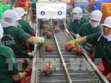 Việt Nam thành đối tác thương mại lớn thứ 4 của Hàn Quốc