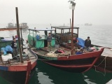 Quảng Ninh: Liên tiếp bắt giữ phương tiện khai thác thủy sản theo hình thức tận diệt