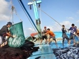 Ngăn chặn, loại bỏ khai thác hải sản bất hợp pháp