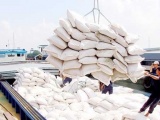 Giá gạo xuất khẩu của Việt Nam xác lập đỉnh cao mới