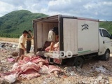 Bình Định: Nơm nớp nỗi lo về an toàn thực phẩm dịp Tết