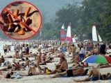 Thái Lan: Sẽ bỏ tù, phạt tiền du khách hút thuốc ở bãi biển