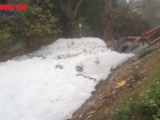 Thanh Oai: Bơm nước ô nhiễm sông Nhuệ, sủi bọt trắng đồng ruộng