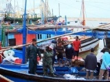 Ngư dân Phú Yên trúng đậm cá ngừ đại dương