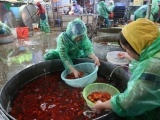Chợ cá lớn nhất Hà Nội vào vụ tết ông Công, ông Táo