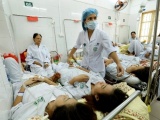 Anh hỗ trợ Việt Nam 190 tỉ đồng dự báo dịch sốt xuất huyết