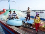 Quảng Ngãi: Cứu 7 ngư dân trên tàu cá bị chìm