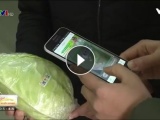 Hưng Yên: Áp dụng 'Quy trình xác thực chống hàng giả' vào chuỗi thực phẩm sạch, an toàn
