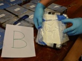 Phát hiện gần 400kg ma túy trong đại sứ quán Nga ở Argentina