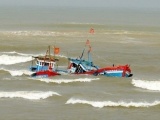 Chìm tàu cá, 11 ngư dân Quảng Ngãi được cứu sống