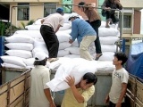 Khánh Hòa: Tiếp nhận và phân bổ 2.000 tấn gạo từ Hàn Quốc hỗ trợ