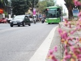 Hà Nội dừng triển khai tuyến buýt nhanh BRT 02 Kim Mã-Hòa Lạc ​