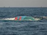 Nghệ An: Cứu sống 7 thuyền viên trên tàu cá bị tông chìm