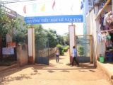 Gia Lai: Nữ kế toán trường tiểu học lãnh án 8 năm tù giam
