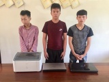 Hà Tĩnh: Tạm giữ 3 nghi phạm chuyên trộm cắp tài sản